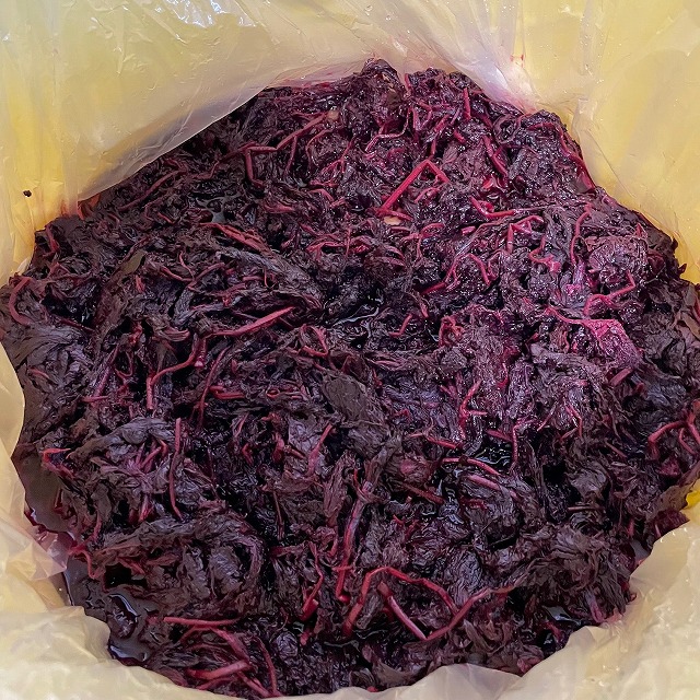 梅干しを作ろう　2025　赤紫蘇漬け