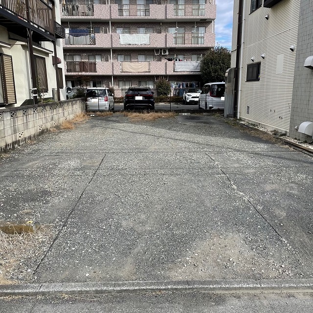 新春初草刈り 2026